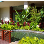 アルーアワイキキ６