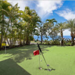 アイランド・オアシス16