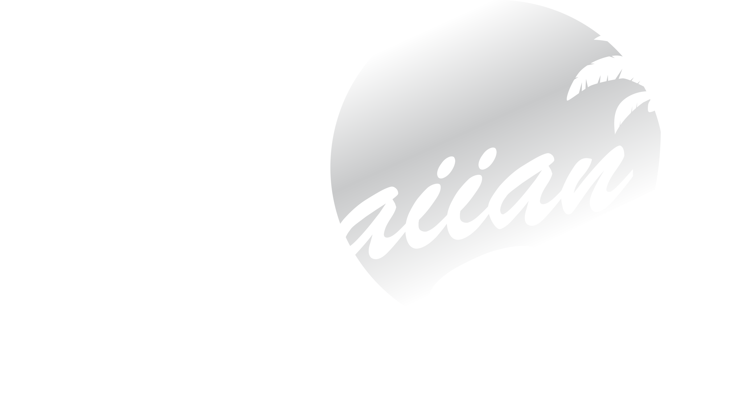 ハワイアンスカイについて ハワイの邸宅 高級コンドミニアムの専門旅行会社ハワイアンスカイ